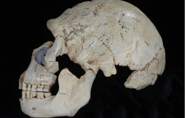 Πριν από 430.000 χρόνια έγινε ο αρχαιότερος φόνος στον κόσμο! (φωτογραφίες)
