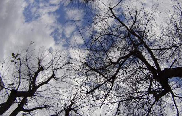 Συννεφιά και καταιγίδες το σκηνικό του καιρού την Πέμπτη