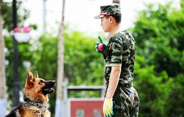Σκυλιά της αστυνομίας στην ουρά για το συσσίτιο (φωτογραφία)
