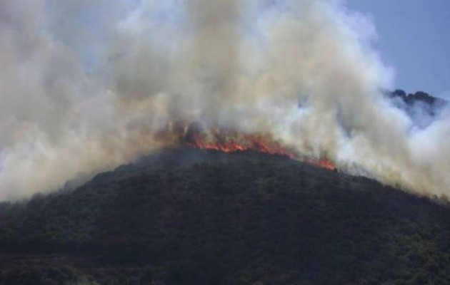 Συνελήφθη 37χρονος υπαίτιος της πυρκαγιάς στη Χαλκιδική