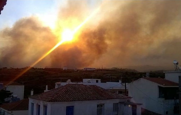 Το πρώτο της θύμα μετρά η πυρκαγιά στη Λακωνία
