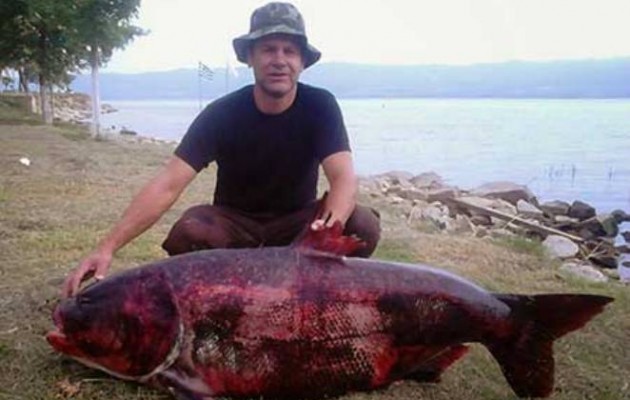 Έπιασαν ψάρι – γίγαντα στη λίμνη Βόλβη – Φωτογραφίες με το σπάνιο θήραμα