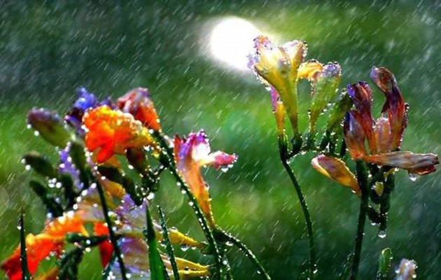 Βροχές, καταιγίδες και χαλάζι το Σαββατοκύριακο!