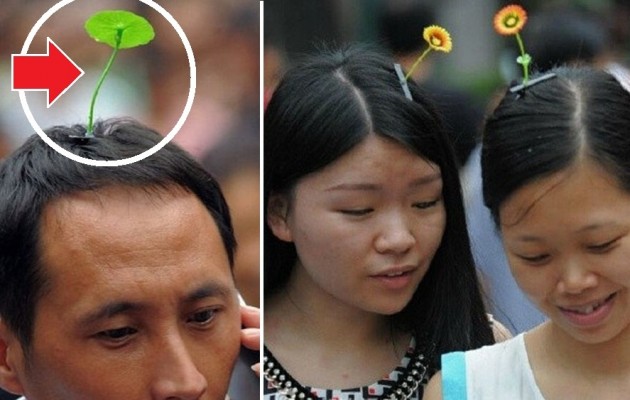 Νέα μόδα στην Κίνα! “Φυτρώνουν” λουλούδια στα κεφάλια τους (φωτο)