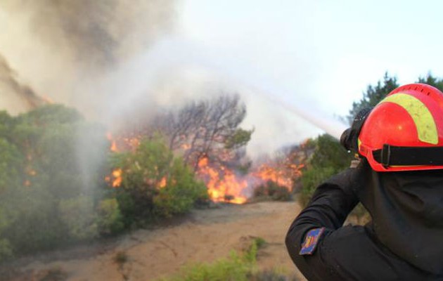 Φωτιά σε δασική περιοχή στο Κερατσίνι