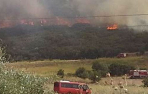 Εικόνες ολοκληρωτικής καταστροφής στη Βοιωτία – Εκτός ελέγχου η φωτιά απειλεί σπίτια