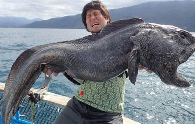 «Πυρηνικό» ψάρι αλιεύθηκε στην Ιαπωνία