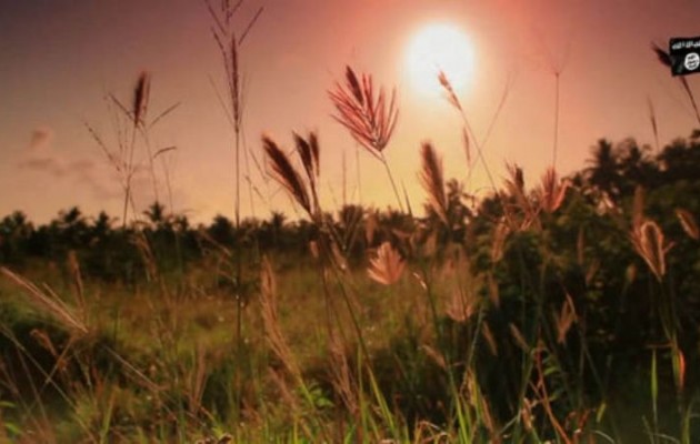 Αχαΐα: 23χρονος Αφγανός βίασε 62χρονη σε χωράφι