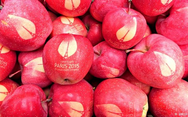 Τα γαλλικά μήλα με φυσικό τατουάζ που πωλούνται 500 ευρώ το ένα