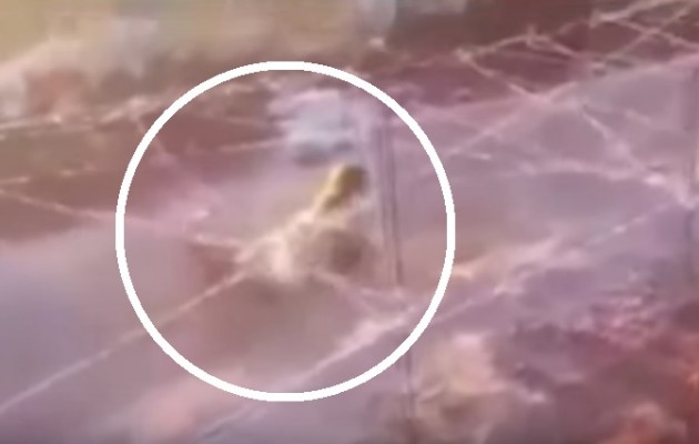 ΒΙΝΤΕΟ ΣΟΚ! Το Ισλαμικό Κράτος εκπαιδεύει 4χρονο με πραγματικά πυρά (βίντεο)