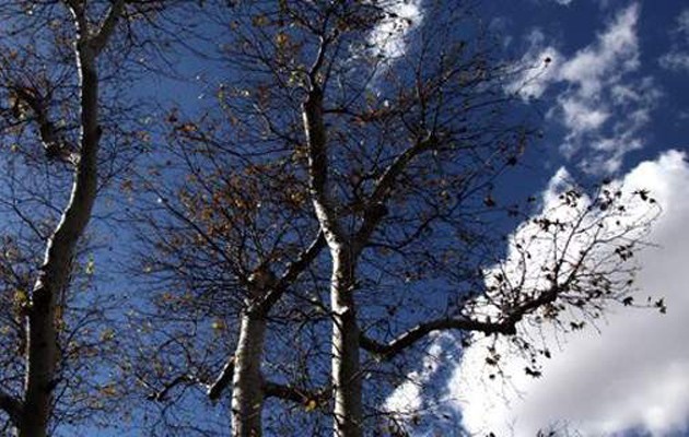 Αίθριος ο καιρός την Πέμπτη – Aναλυτικά η πρόγνωση