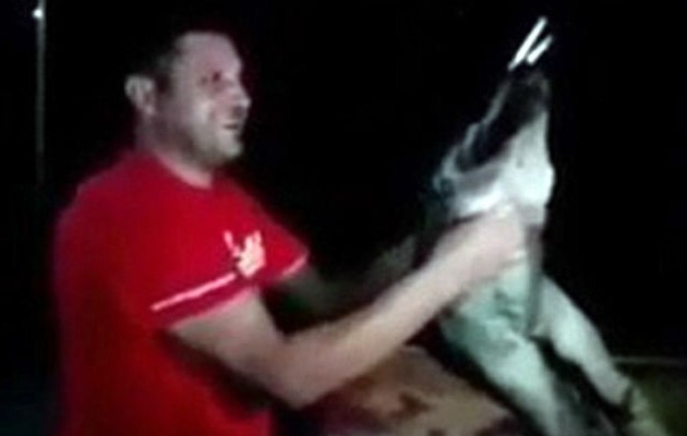 «Ζώα» στα Σκόπια βασάνισαν φριχτά λύκο (φωτο + βίντεο)