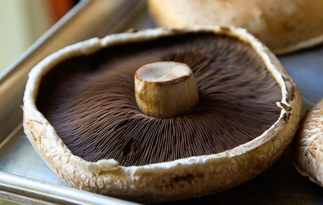 Μπαταρίες από… μανιτάρια Portobello