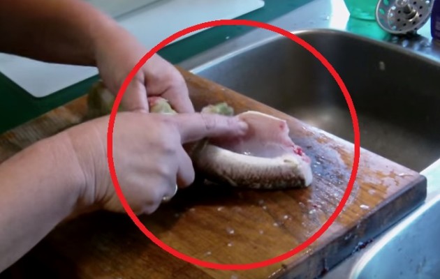Ψάρια “ζόμπι” χωρίς κεφάλια “ζωντανεύουν” στις κουζίνες (βίντεο)