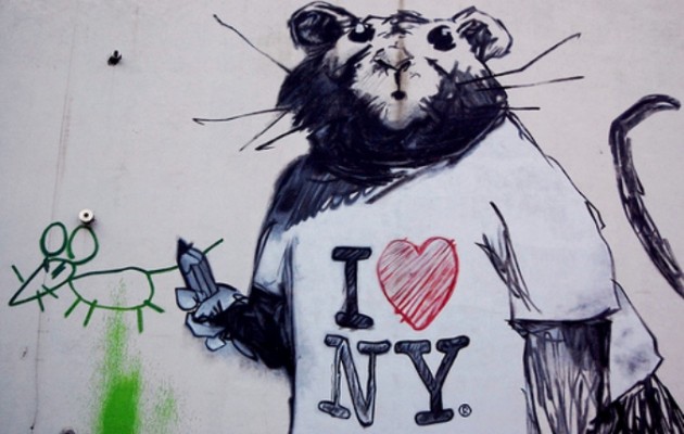 Εκατομμύρια αρουραίοι απειλούν να καταλάβουν τη Νέα Υόρκη