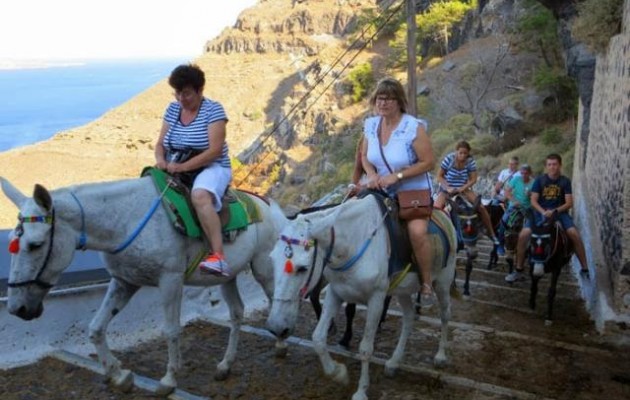 Τουρίστρια έπεσε από γαϊδουράκι στη Σαντορίνη και σκοτώθηκε