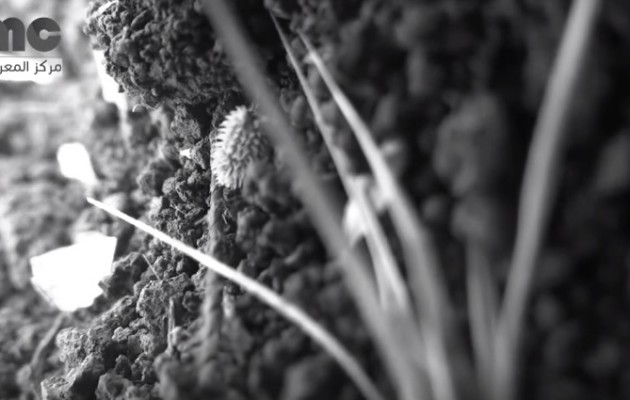 Εικόνες του πολέμου στη Συρία μέσα από τα μάτια ενός σκοτωμένου (βίντεο)