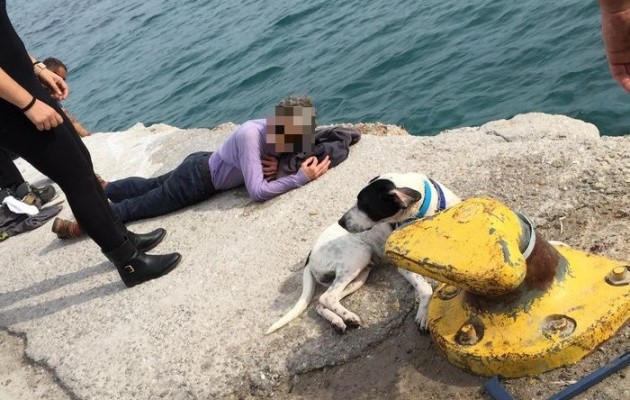 Έκανε όπισθεν με το τζιπ και το έριξε στο λιμάνι – Σε κατάσταση ΣΟΚ η οδηγός!