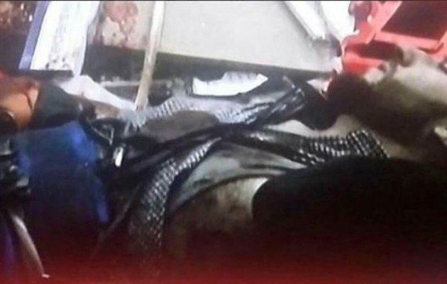 Αυτός είναι ο τρίτος βομβιστής αυτοκτονίας που λίντσαρε το πλήθος στη Βηρυτό (βίντεο)