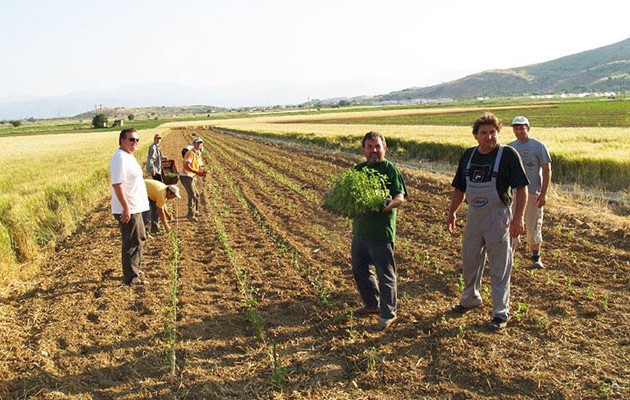 Οι προτάσεις της κυβέρνησης για το ασφαλιστικό των αγροτών