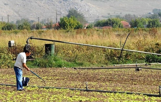 Διαβάστε πόσα δισεκατομμύρια έφερε στην ελληνική οικονομία η γεωργία
