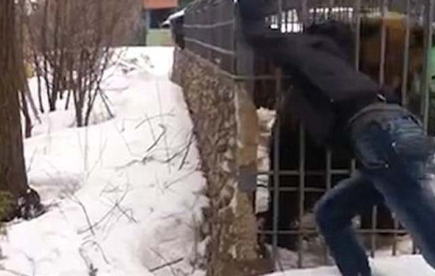 Aρκούδα έφαγε το χέρι επισκέπτη σε πάρκο στη Ρωσία!