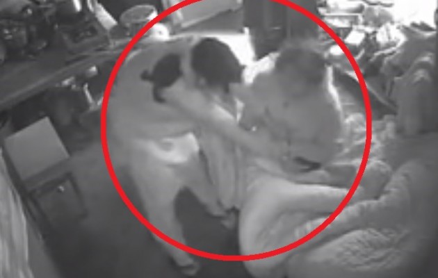 Νύφη πλακώνει στο ξύλο την πεθερά της (βίντεο)