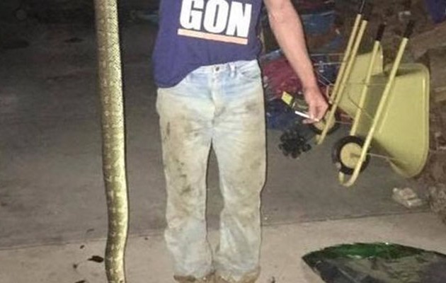 Πύθωνας επιτέθηκε σε  εξάχρονο στην Αυστραλία