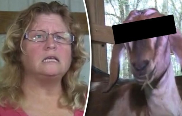 Γυναίκα καταγγέλλει κτηνοβάτη: “Σε παρακαλώ, σταμάτα να βιάζεις τις κατσίκες μου!”