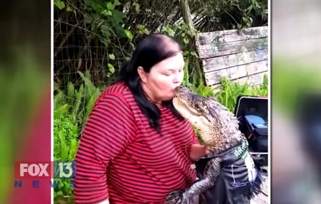 Αυτός ο αλιγάτορας νομίζει ότι είναι μωρό και δίνει φιλιά στο στόμα (βίντεο)