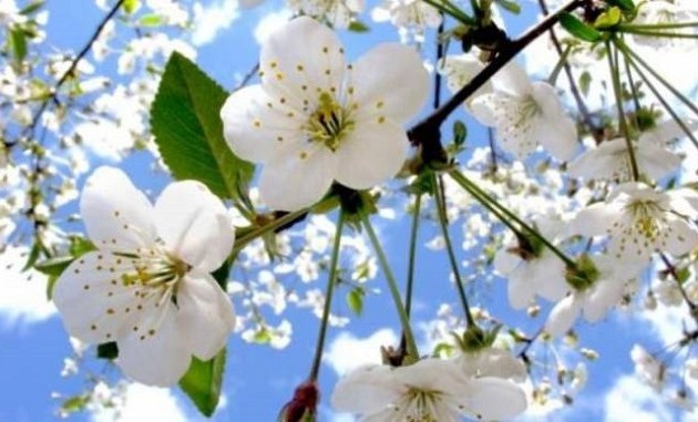 Μικρή άνοδος της θερμοκρασίας τη Δευτέρα