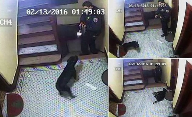 Αστυνομικός σκότωσε σκύλο γιατί του… γάβγισε (σκληρό βίντεο)