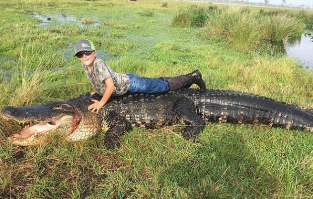 Σκότωσαν αλιγάτορα Godzilla μέσα σε φάρμα στη Φλόριντα (φωτο + βίντεο)
