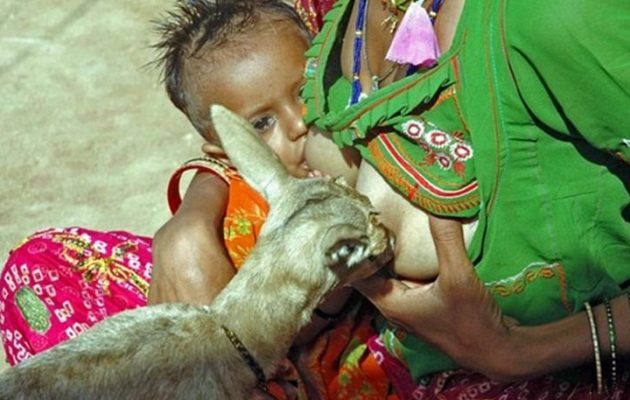 Γυναίκα θηλάζει το μωρό της και ελάφι ταυτόχρονα!