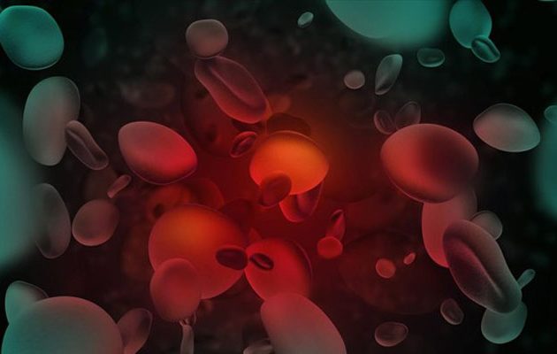 Σπουδαία ανακάλυψη Ελλήνων ερευνητών για τα κύτταρα