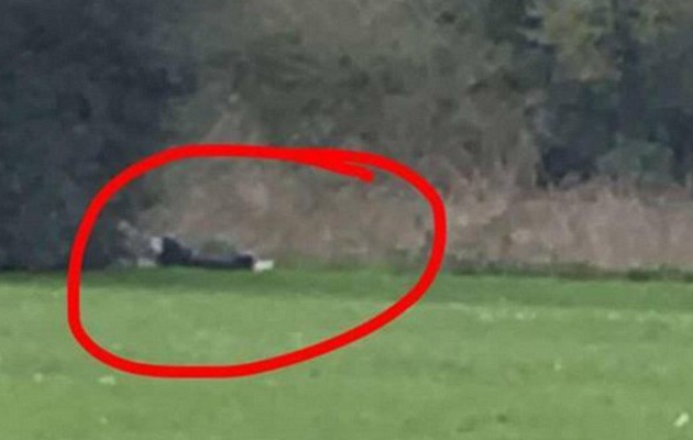 Ασυγκράτητο ζευγάρι το «έκανε» μέρα μεσημέρι σε δημόσιο πάρκο