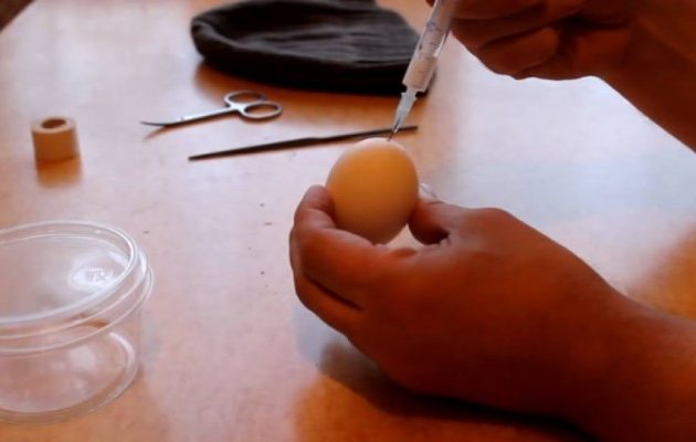 Ρώσος βάζει το σπέρμα του σε αβγό – Το αποτέλεσμα ανατριχιάζει (βίντεο)