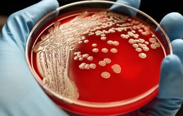 Σοκ: Ένας θάνατος ανά τρία δευτερόλεπτα από μικρόβια προβλέπει έρευνα