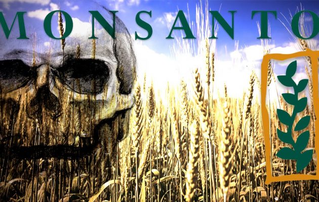 Ο εφιάλτης της Monsanto σκεπάζει την Ευρώπη