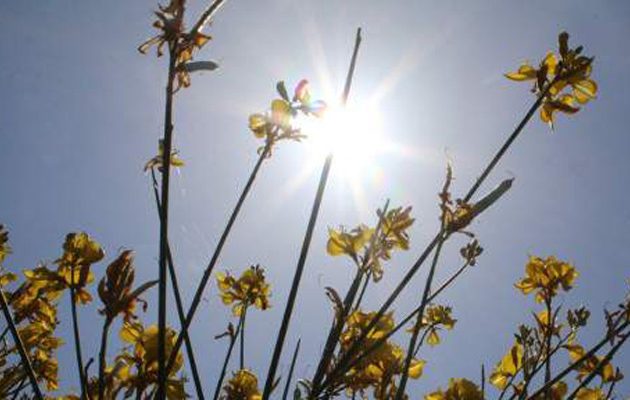 “Μυρίζει” καλοκαίρι –  Στους 28 βαθμούς ο υδράργυρος την Τρίτη