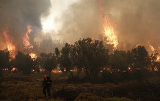 Δερβενοχώρια: Ολονύχτια μάχη με τις φλόγες που απειλούν χωριά
