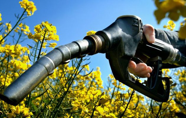 Πρόστιμα έως 300.000 ευρώ για παραβάσεις σχετικά με τα βιοκαύσιμα