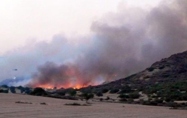 Ολονύχτια μάχη με τη φωτιά στη Κύπρο – Νεκρός ένας δασοπυροσβέστης
