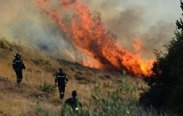 Μάχη με τις φλόγες σε μεγάλη φωτιά στην Κερατέα – Απειλούνται σπίτια