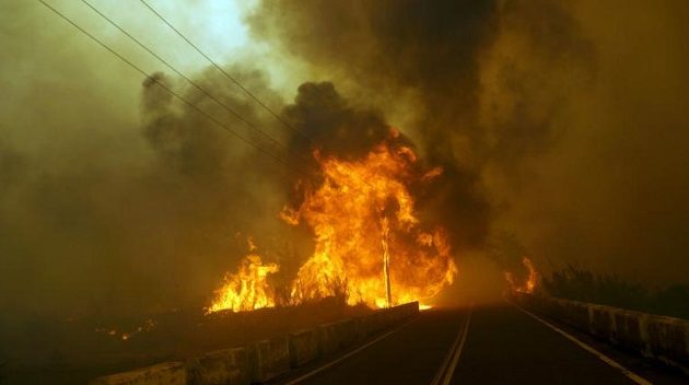 Ρόδος: Η «ηλίθια» αιτία που κάηκαν 20.000 στρέμματα