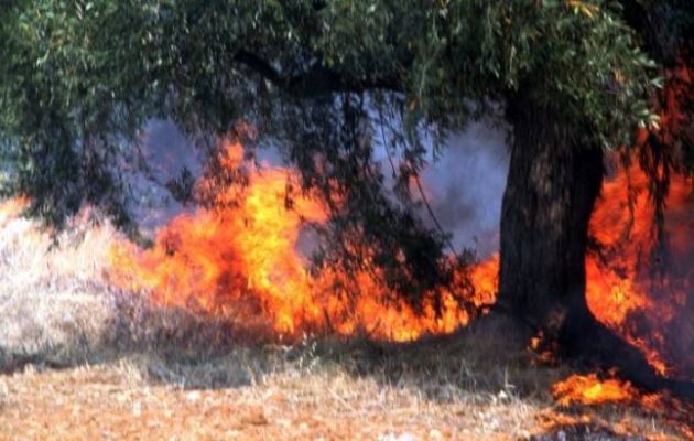 Πυρκαγιά ξέσπασε έξω από τη Θεσσαλονίκη