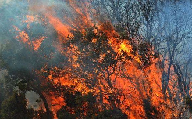 Τρεις Ρομά εμπρηστές που έβαλαν φωτιά στην Κέρκυρα την Τρίτη στον Εισαγγελέα