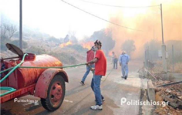 Χίος: Παρανάλωμα του πυρός οι καλλιέργειες μαστιχόδεντρων (βίντεο)