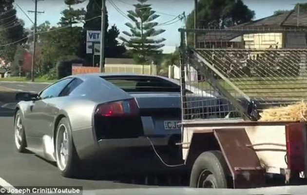 Φόρτωσε τα πρόβατα στη Λαμποργκίνι και τα πήγε τσάρκα! (βίντεο)