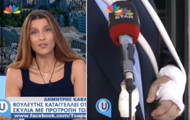 Βουλευτής κατήγγειλε στην Πόπη ότι έβαλαν σκυλιά να τον “φάνε” (βίντεο)